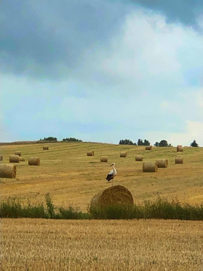 Agroturystyka „Nadbuzanski Swit” Wola Uhruska Exteriér fotografie